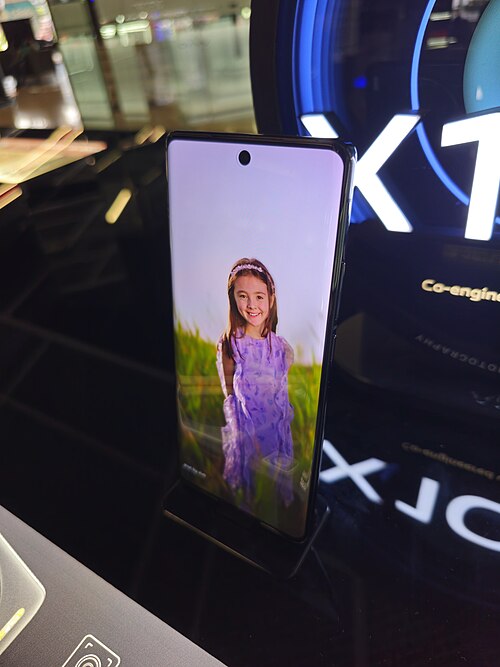 vivo X100